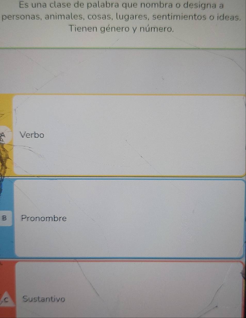 Es una clase de palabra que nombra o designa a
personas, animales, cosas, lugares, sentimientos o ideas.
Tienen género y número.
Verbo
B Pronombre
C Sustantivo