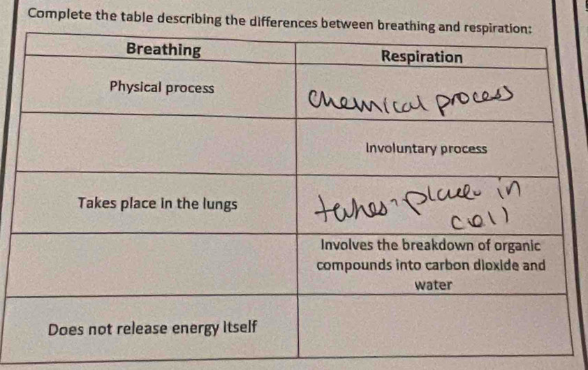 Complete the table describing the differences