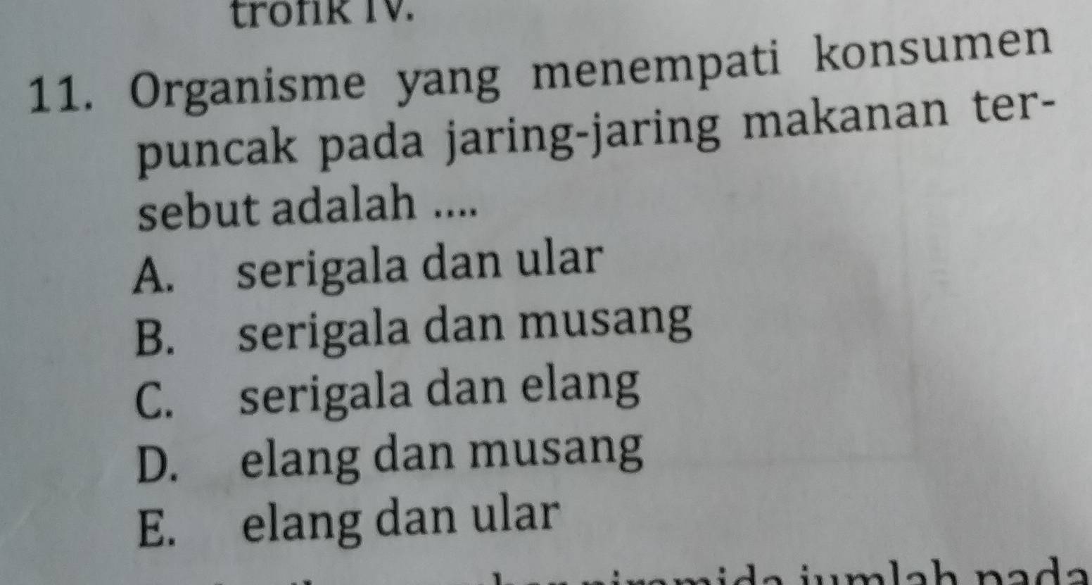 tronk TV.
11. Organisme yang menempati konsumen
puncak pada jaring-jaring makanan ter-
sebut adalah ....
A. serigala dan ular
B. serigala dan musang
C. serigala dan elang
D. elang dan musang
E. elang dan ular