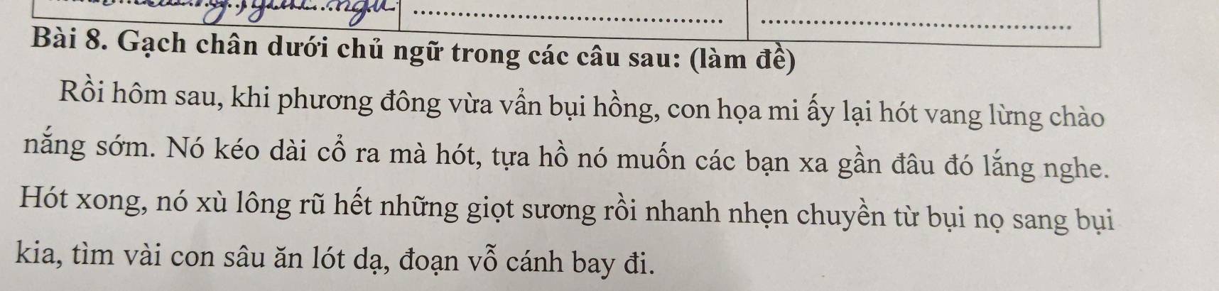 Gạch chân dưới chủ ngữ trong các câu sau: (làm đề) 
Rồi hôm sau, khi phương đông vừa vẫn bụi hồng, con họa mi ấy lại hót vang lừng chào 
năng sớm. Nó kéo dài cổ ra mà hót, tựa hồ nó muốn các bạn xa gần đâu đó lắng nghe. 
Hót xong, nó xù lông rũ hết những giọt sương rồi nhanh nhẹn chuyền từ bụi nọ sang bụi 
kia, tìm vài con sâu ăn lót dạ, đoạn vỗ cánh bay đi.