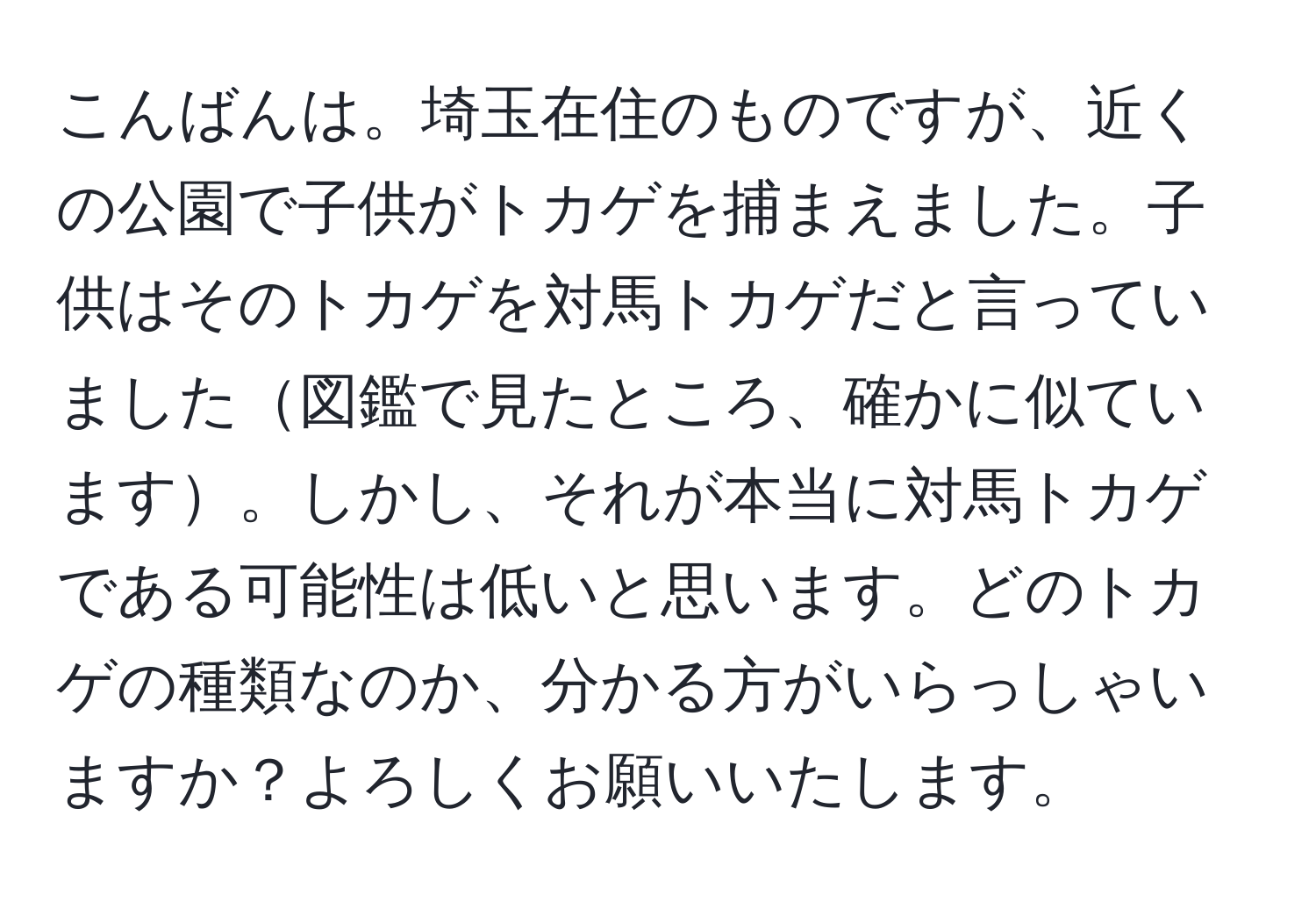 こんばんは。埼玉在住のものですが、近くの公園で子供がトカゲを捕まえました。子供はそのトカゲを対馬トカゲだと言っていました図鑑で見たところ、確かに似ています。しかし、それが本当に対馬トカゲである可能性は低いと思います。どのトカゲの種類なのか、分かる方がいらっしゃいますか？よろしくお願いいたします。