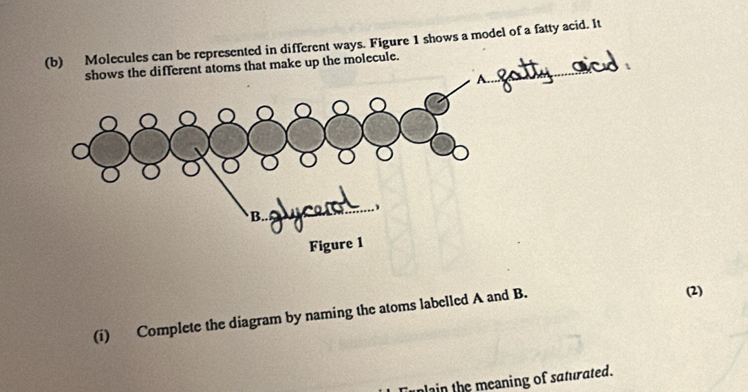 different ways. Figure 1 shows a model of a fatty acid. It 
(i) Complete the diagram by naming the atoms labelled A and B. 
(2) 
lain the meaning of saturated.