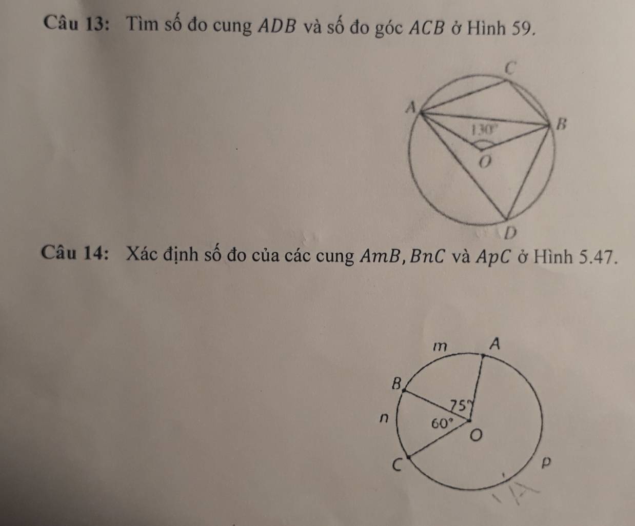 Tìm số đo cung ADB và số đo góc ACB ở Hình 59.
Câu 14: Xác định số đo của các cung AmB, BnC và ApC ở Hình 5.47.