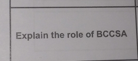 Explain the role of BCCSA