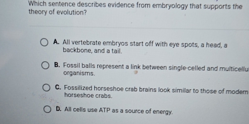 Which sentence describes evidence from embryology that supports the
theory of evolution?
A. All vertebrate embryos start off with eye spots, a head, a
backbone, and a tail.
B. Fossil balls represent a link between single-celled and multicellu
organisms.
C. Fossilized horseshoe crab brains look similar to those of modern
horseshoe crabs.
D. All cells use ATP as a source of energy.