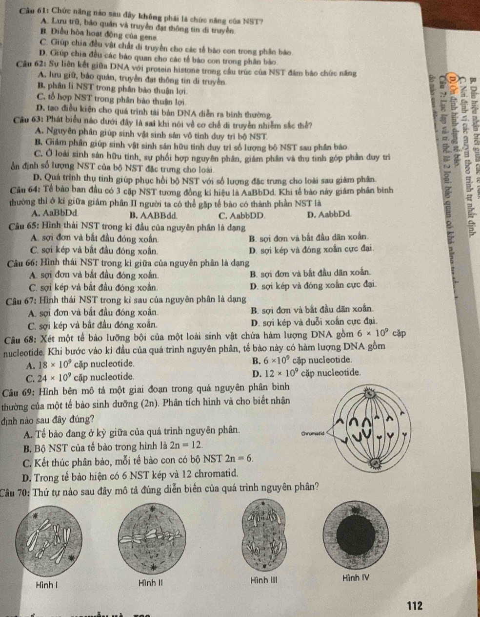 Cầu 61: Chức năng nào sau đây không phái là chức năng của NST?
A. Lưu trữ, bảo quán và truyền đạt thông tin di truyền
B Điều hòa hoạt động của gene
C. Giúp chia đều vật chất di truyền cho các tế bào con trong phân bào.
D. Giúp chìa đều các bảo quan cho các tế bào con trong phân bảo.
Cầu 62: Sự liên kết giữa DNA với protein histone trong cầu trúc của NST đâm bảo chức năng
A. lưru giữ, bảo quân, truyền đạt thông tin di truyền
B. phân li NST trong phân bào thuận lợi.
2
C, tổ hợp NST trong phân bào thuận lợi
D. tạo điều kiện cho quá trình tải bản DNA diễn ra bình thường.
Cầu 63: Phát biểu nào dưới đây là sai khi nói về cơ chế di truyền nhiễm sắc thể?
A. Nguyên phân giúp sinh vật sinh sản vô tinh duy trì bộ NST.
B. Giảm phân giúp sinh vật sinh sản hữu tinh duy trì số lượng bộ NST sau phân bảo
C. Ở loài sinh sản hữu tính, sự phối hợp nguyên phân, giám phân và thu tình góp phần duy trì
ổn định số lượng NST của bộ NST đặc trưng cho loài
D. Quá trình thụ tinh giúp phục hồi bộ NST với số lượng đặc trưng cho loài sau giàm phân.
Cầu 64: Tề bào ban đầu có 3 cặp NST tương đồng kí hiệu là AaBbDd. Khi tế bào này giám phân bình
thường thi ở kỉ giữa giảm phân II người ta có thể gặp tế bào có thành phần NST là
A. AaBbDd B. AABBdd. C. AabbDD. D, AabbDd.
Cầu 65: Hình thái NST trong kì đầu của nguyên phân là dạng
A. sợi đơn và bắt đầu đóng xoắn. B. sợi đơn và bắt đầu dân xoắn.
E
C. sợi kép và bắt đầu đóng xoắn. D. sợi kép và đóng xoắn cực đại.
Câu 66: Hình thái NST trong kỉ giữa của nguyên phân là dạng
A. sợi đơn và bắt đầu đóng xoắn. B. sợi đơn và bắt đầu dãn xoắn.
C. sợi kép và bắt đầu đóng xoắn. D. sợi kép và đóng xoắn cực đại.
Câu 67: Hình thái NST trong kỉ sau của nguyên phân là dạng
A. sợi đơn và bắt đầu đóng xoắn. B. sợi đơn và bắt đầu dãn xoắn.
C. sợi kép và bắt đầu đóng xoắn. D. sợi kép và duỗi xoắn cực đại.
Câu 68: Xét một tế bào lưỡng bội của một loài sinh vật chứa hàm lượng DNA gồm 6* 10^9 cặp
nucleotide. Khi bước vào kỉ đầu của quá trình nguyên phân, tế bào này có hàm lượng DNA gồm
A. 18* 10^9 cặp nucleotide. B. 6* 10^9 cặp nucleotide.
C. 24* 10^9 cập nucleotide. D. 12* 10^9 cặập nucleotide.
Câu 69: Hình bên mô tả một giai đoạn trong quá nguyên phân bình
thường của một tế bào sinh dưỡng (2n). Phân tích hình và cho biết nhận
định nào sau đây đúng?
A. Tế bào đang ở kỳ giữa của quá trình nguyên phân. 
B Bộ NST của tế bào trong hình là 2n=12.
C. Kết thúc phân bào, mỗi tế bào con có bộ NST 2n=6.
D. Trong tế bào hiện có 6 NST kép và 12 chromatid.
Câu 70: Thứ tự nào sau đây mô tả đúng diễn biển của quá trình nguyên phân?
Hình l Hình II Hình III Hình IV
112