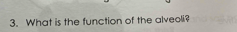 What is the function of the alveoli?