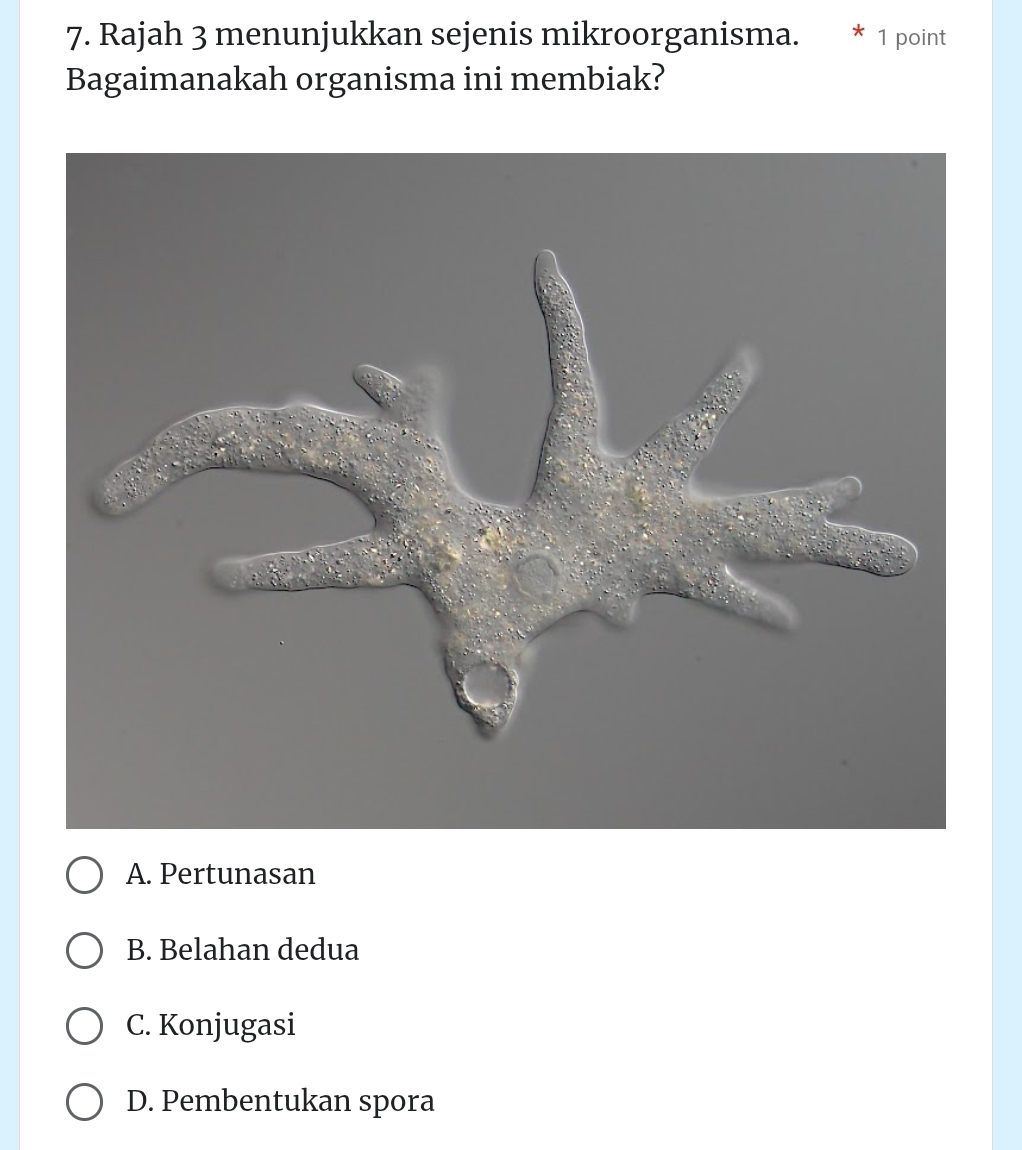 Rajah 3 menunjukkan sejenis mikroorganisma. 1 point
Bagaimanakah organisma ini membiak?
A. Pertunasan
B. Belahan dedua
C. Konjugasi
D. Pembentukan spora