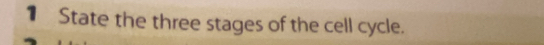 State the three stages of the cell cycle.