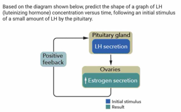 Solved: Based on the diagram shown below, predict the shape of a graph ...
