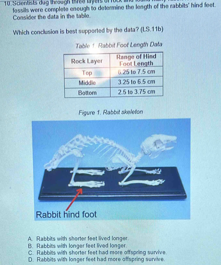 Solved: Scientists dug through three layers of rock and fossils were ...