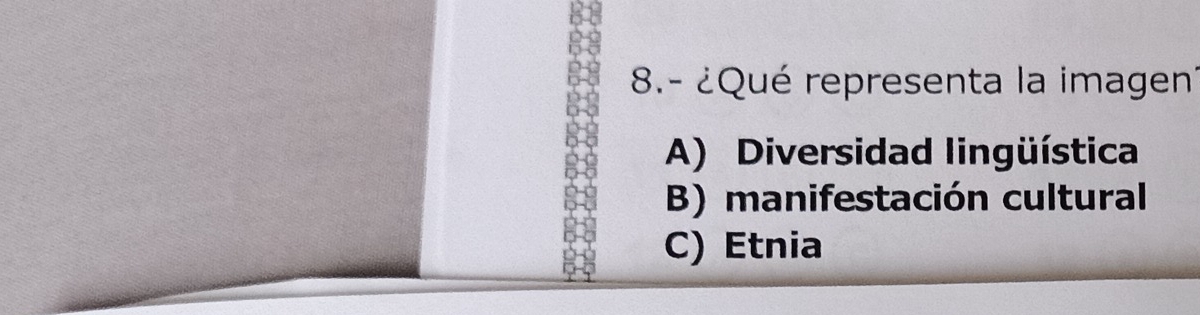 8.- ¿Qué representa la imagen
A) Diversidad lingüística
B) manifestación cultural
C) Etnia