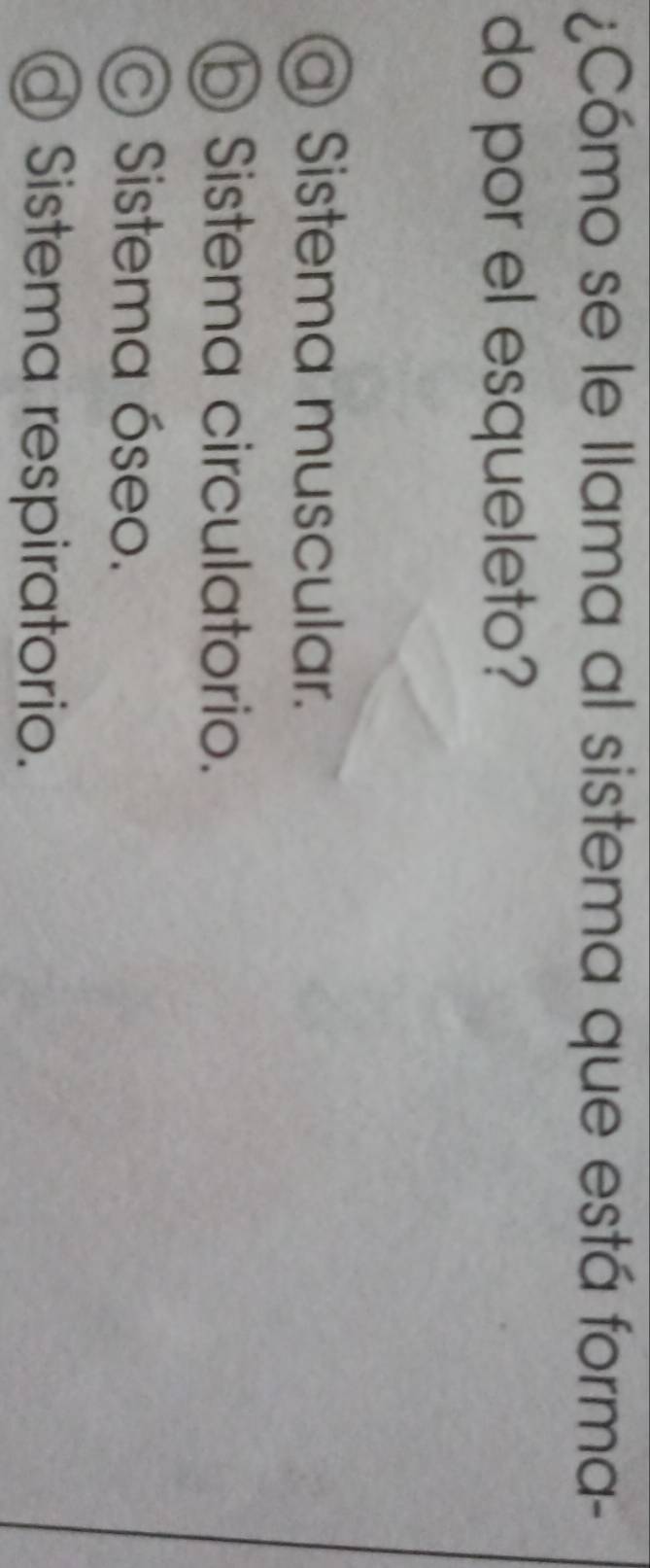 ¿Cómo se le llama al sistema que está forma-
do por el esqueleto?
a Sistema muscular.
Sistema circulatorio.
Sistema óseo.
Sistema respiratorio.