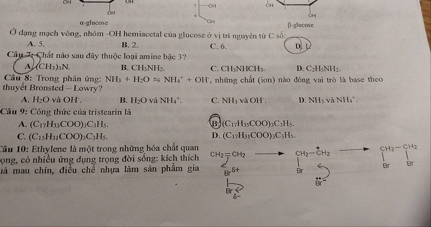 OH
OH
 
OH
α-glucose
β-glucose
Ở dạng mạch vòng, nhóm -OH hemiacetal của glucose ở vị trí nguyên tử C số:
A. 5. B. 2. C. 6. D. 1
Câu 7: Chất nào sau đây thuộc loại amine bậc 3?
A (CH_3)_3N.
B. CH_3NH_2. C. CH_3NHCH_3. D. C_2H_5NH_2.
Câu 8: Trong phản ứng: NH_3+H_2OLongleftrightarrow NH_4^(++OH^-) T, những chất (ion) nào đóng vai trò là base theo
thuyết Bronsted - Lowry?
A. H_2O và OH . B. H_2O và NH_4^(+. C. NH_3) và OH . D. NH_3 và NH_4^(+.
Câu 9: Công thức của tristearin là
B.
A. (C_17)H_33COO)_3C_3H_5. (C_17H_35COO)_3C_3H_5.
C. (C_15H_31COO)_3C_3H_5. D. (C_17H_31COO)_3C_3H_5.
Câu 10: Ethylene là một trong những hóa chất quan
rọng, có nhiều ứng dụng trọng đời sống: kích thích CH_2=CH_2
mả mau chín, điều chế nhựa làm sản phẩm gia Br^(delta +) beginarrayr CH_2-CH_2 □ HI_5
beginbmatrix CH_2-CH_2 Brendbmatrix
Br
Br
δ-