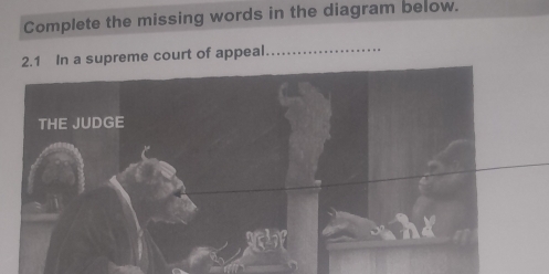 Complete the missing words in the diagram below. 
In a supreme court of appeal._