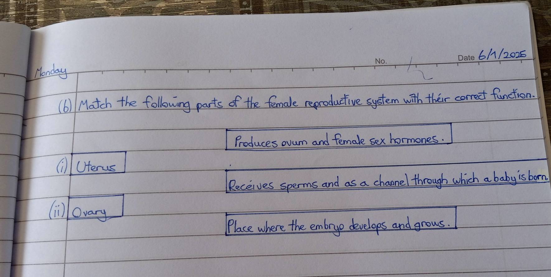 Monday 6//2025 
(6)/ Match the following parts of the female reproductive system with their correct function. 
Produces ovum and female sex hormones. 
(ilUerus 
Receives sperms and as a channel through which a baby is born. 
(il) ovary 
Place where the embrge develops and grows.