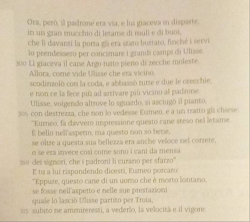 Ora, però, il padrone era via, e lui giaceva in disparte, 
in un gran mucchio di letame di muli e di buoi. 
che lì davanti la porta gli era stato buttato, finché i servi 
lo prendessero per concimare i grandi campi di Ulisse.
300 Lì giaceva il cane Argo tutto pieno di zecche moleste. 
Allora, come vide Ulisse che era vicino, 
scodinzolò con la coda, e abbassò tutte e due le orecchie, 
e non ce la fece più ad arrivare più vicino al padrone. 
Ulisse, volgendo altrove lo sguardo, si asciugo il pianto,
305 con destrezza, che non lo vedesse Eumeo, e a un tratto gli chiese: 
“Eumeo, fa davvero impressione questo cane steso nel letame. 
E bello nell'aspetto, ma questo non so bene, 
se oltre a questa sua bellezza era anche veloce nel correre, 
o se era invece così come sono i cani da mensa
310 dei signori, che i padroni li curano per sfarzo''. 
E tu a lui rispondendo dicesti, Eumeo porcaro: 
"Eppure, questo cane di un uomo che è morto lontano, 
se fosse nell'aspetto e nelle sue prestazioni 
quale lo lasciò Ulisse partito per Troia,
315 subito ne ammireresti, a vederlo, la velocità e il vigore: