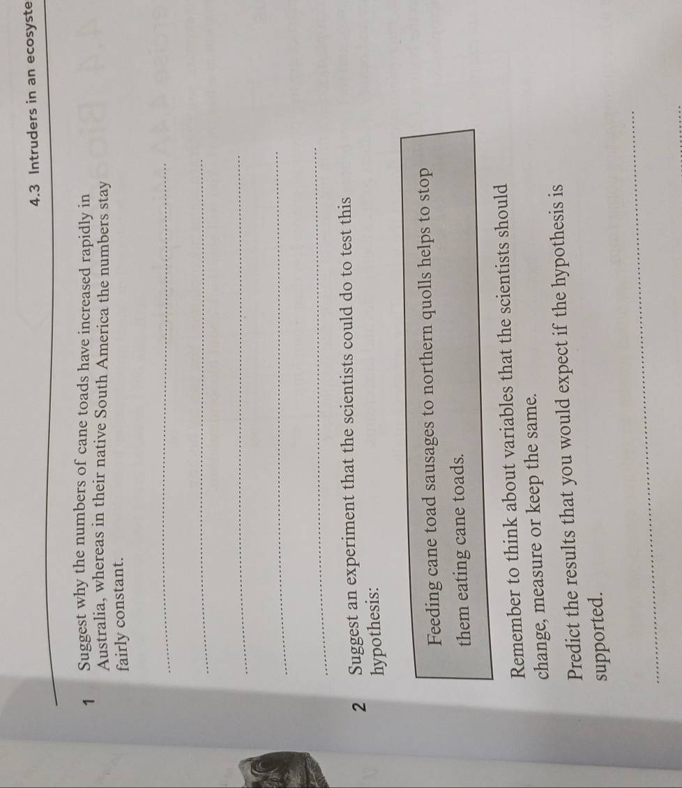 4. 3 Intruders in an ecosyste 
1 Suggest why the numbers of cane toads have increased rapidly in 
Australia, whereas in their native South America the numbers stay 
fairly constant. 
_ 
_ 
_ 
_ 
_ 
2 Suggest an experiment that the scientists could do to test this 
hypothesis: 
Feeding cane toad sausages to northern quolls helps to stop 
them eating cane toads. 
Remember to think about variables that the scientists should 
change, measure or keep the same. 
Predict the results that you would expect if the hypothesis is 
supported. 
_