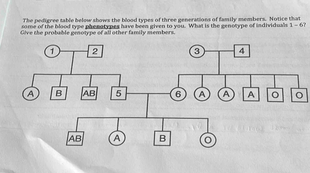 Solved: The pedigree table below shows the blood types of three ...