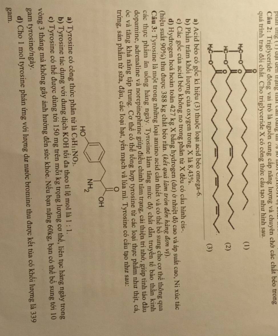 phan tng (1) đạt dến trạng thai can bằng t .
Câu 2: Triglyceride đóng vai trò là nguồn cung cấp năng lượng và chuyên chở các chất béo trong
quá trình trao đổi chất. Cho triglyceride X có công thức cấu tạo như hình sau.
a) Acid béo có gốc kí hiệu (3) thuộc loại acid béo omega-6.
b) Phần trăm khối lượng của oxygen trong X là 8,43%.
c) Các gốc của acid béo không no trong phân tử X đều có cấu hình cis-.
d) Hydrogen hoá hoàn toàn 427 kg X bằng hydrogen (dư) ở nhiệt độ cao và áp suất cao, Ni xúc tác
(hiệu suất 90%) thu được 388 kg chất béo rắn. (kết quả làm tròn đến hàng đơn vị).
Câu 3: Tyrosine là một trong những loại amino acid cần thiết và có thể bổ sung cho cơ thể thộng qua
các thực phẩm ăn uống hàng ngày. Tyrosine làm tăng mức độ chất dẫn truyền tế bào thần kinh
dopamine, adrenaline và norepinephrine giúp điều chỉnh tâm trạng, cải thiện trí nhớ, giúp tinh táo đầu
óc và tăng khả năng tập trung. Cơ thể có thể tổng hợp tyrosine từ các loại thực phẩm như thịt, cá,
trứng, sản phầm từ sữa, đậu, các loại hạt, yến mạch và lúa mì. Tyrosine có cầu tạo như sau:
a) Tyrosine có công thức phân tử là C_9H_11NO_3.
b) Tyrosine tác dụng với dung dịch KOH tối đa theo tỉ lệ mol là 1:1.
c) Tyrosine có thể được dùng tới 150 mg trên mỗi kg trọng lượng cơ thể, liên tục hàng ngày trong
vòng 3 tháng mà không gây ảnh hưởng đến sức khỏe. Nếu bạn nặng 60kg, bạn có thể bổ sung tới 10
gam tyrosine/ngày.
d) Cho 1 mol tyrosine phản ứng với lượng dư nước bromine thu được kết tủa có khối lượng là 339
gam.