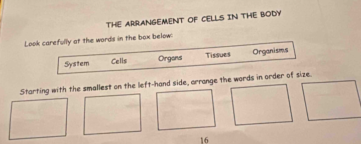 THE ARRANGEMENT OF CELLS IN THE BODY 
Look carefully at the words in the box below: 
System Cells Organs Tissues Organisms 
Starting with the smallest on the left-hand side, arrange the words in order of size.
16