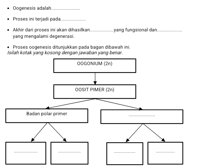 Oogenesis adalah_ 
Proses ini terjadi pada_ 
Akhir dari proses ini akan dihasilkan_ yang fungsional dan_ 
yang mengalami degenerasi. 
Proses oogenesis ditunjukkan pada bagan dibawah ini. 
Isilah kotak yang kosong dengan jawaban yang benar.