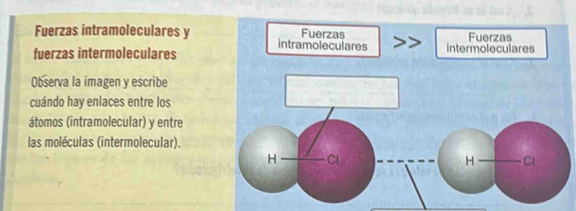 Fuerzas intramoleculares y Fuerzas Fuerzas 
intramoleculares intermoleculares 
fuerzas intermoleculares 
Observa la imagen y escribe 
cuándo hay enlaces entre los 
átomos (intramolecular) y entre 
las moléculas (intermolecular). 
H Cl H Cl