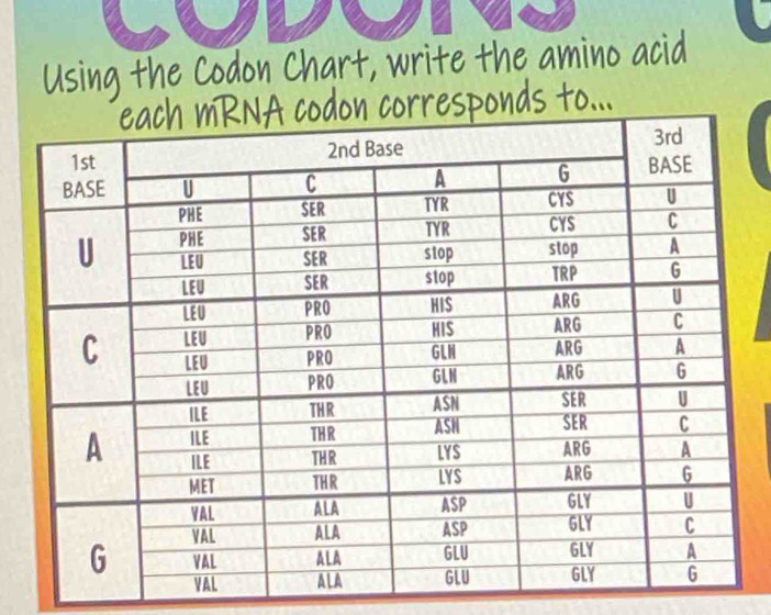 the Codon Chart, write the amino acid 
s to..