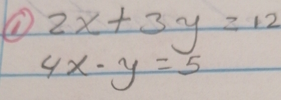 ① 2x+3y=12
4x· y=5