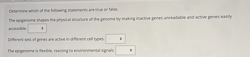 Determine which of the following statements are true or false.
The epigenome shapes the physical structure of the genome by making inactive genes unreadable and active genes easily
accessible. □
Different sets of genes are active in different cell types. □
The epigenome is flexible, reacting to environmental signals. □