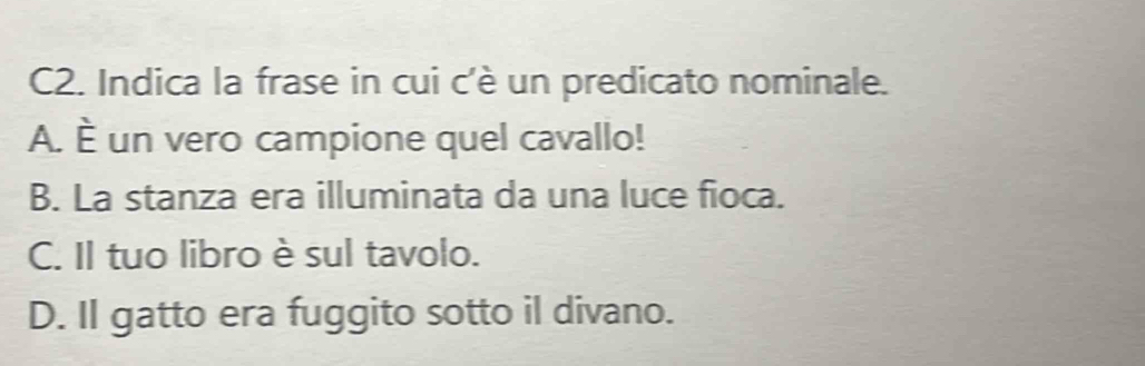 C2. Indica la frase in cui c'è un predicato nominale.
A. È un vero campione quel cavallo!
B. La stanza era illuminata da una luce fioca.
C. Il tuo libro è sul tavolo.
D. Il gatto era fuggito sotto il divano.