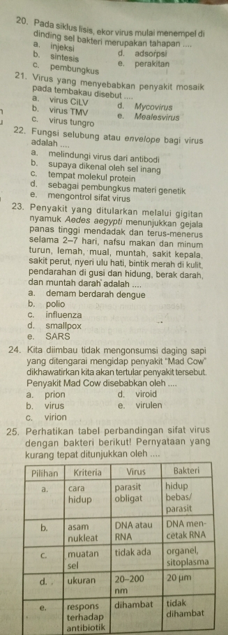 Pada siklus lisis, ekor virus mulai menempel di
dinding sel bakteri merupakan tahapan ....
a. injeksi b. sintesis
d. adsorpsi
e. perakitan
c. pembungkus
21. Virus yang menyebabkan penyakit mosaik
pada tembakau disebut ., .
a. virus CiLV
b. virus TMV d. Mycovirus
e. Mealesvirus
c. virus tungro
22. Fungsi selubung atau envelope bagi virus
adalah ....
a. melindungi virus dari antibodi
b. supaya dikenal oleh sel inang
c. tempat molekul protein
d. sebagai pembungkus materi genetik
e. mengontrol sifat virus
23. Penyakit yang ditularkan melalui gigitan
nyamuk Aedes aegypti menunjukkan gejala
panas tinggi mendadak dan terus-menerus
selama 2-7 hari, nafsu makan dan minum
turun, lemah, mual, muntah, sakit kepala.
sakit perut, nyeri ulu hati, bintik merah di kulit.
pendarahan di gusi dan hidung, berak darah,
dan muntah darah adalah ....
a. demam berdarah dengue
b. polio
c. influenza
d. smallpox
e. SARS
24. Kita diimbau tidak mengonsumsi daging sapi
yang ditengarai mengidap penyakit ''Mad Cow''
dikhawatirkan kita akan tertular penyakit tersebut.
Penyakit Mad Cow disebabkan oleh ....
a. prion d. viroid
b. virus e. virulen
c. virion
25. Perhatikan tabel perbandingan sifat virus
dengan bakteri berikut! Pernyataan yang
kurang tepat ditunjukkan oleh ....
antibiotik