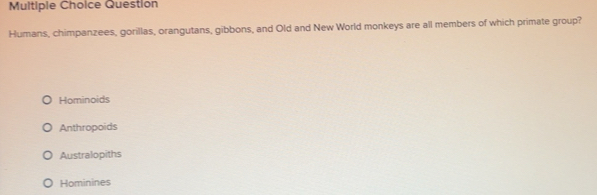 Solved: Question Humans, chimpanzees, gorillas, orangutans, gibbons ...