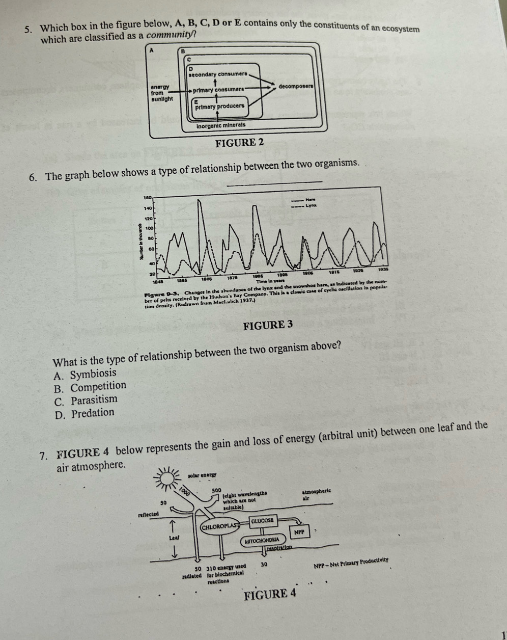 Which box in the figure below, A, B, C, D or E contains only the constituents of an ecosystem
which are classified as a community?
_
6. The graph below shows a type of relationship between the two organisms.
180,
140
- Lyra
120
100
80
60
20 1995 1905 1916 1926 1935
1845 1865 1985 1875 1086 Time in years
Flgure 9-3. Changes in the ahundance of the lynx and the snowshoe hare, as indicated by the num-
ber of pelts received by the Hudson's Bay Company. This is a classic case of cyclic oscillation in popula
tion density. (Redrawn from Machulich 1937.)
FIGURE 3
What is the type of relationship between the two organism above?
A. Symbiosis
B. Competition
C. Parasitism
D. Predation
7. FIGURE 4 below represents the gain and loss of energy (arbitral unit) between one leaf and the
air atmosphere
y Productivity