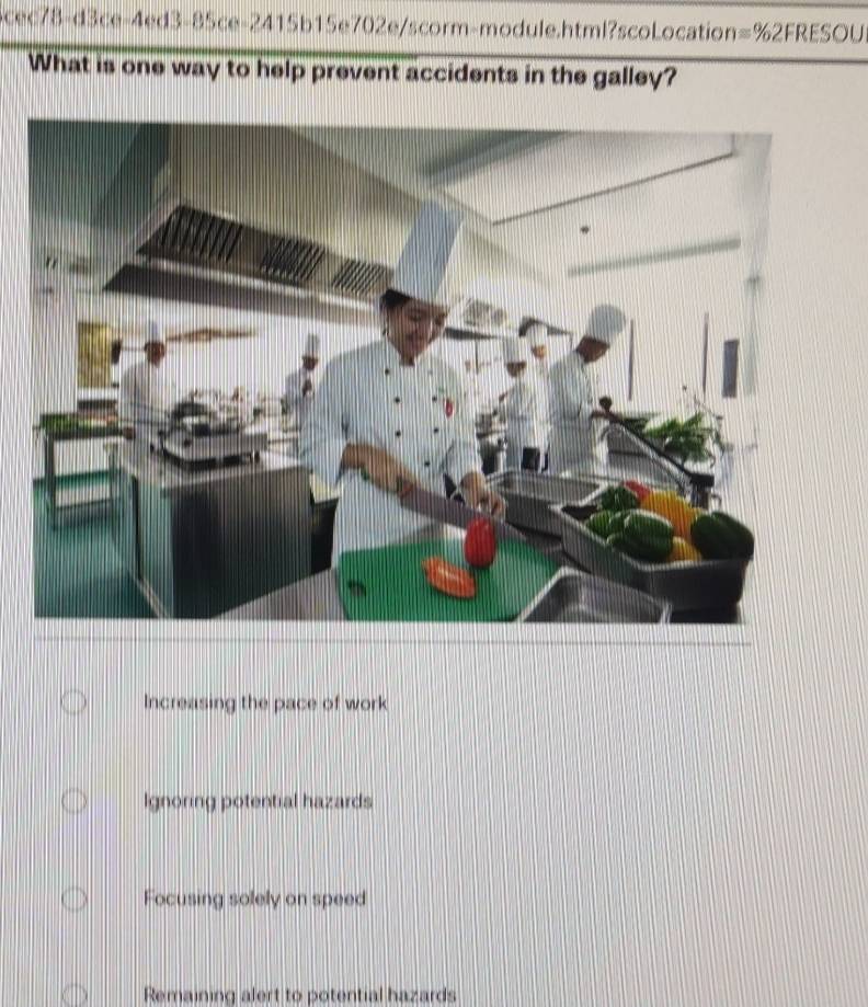 Scec78-d3ce-4ed3-85ce-2415b15e702e/scorm-module.html?scoLocation ≌ % 2FRESOU 
What is one way to help prevent accidents in the galley?
Increasing the pace of work
Ignoring potential hazards
Focusing solely on speed
Remaining alert to potential hazards