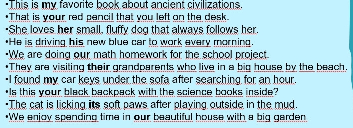 •This is my favorite book about ancient civilizations. 
"That is your red pencil that you left on the desk. 
•She loves her small, fluffy dog that always follows her. 
•He is driving his new blue car to work every morning. 
•We are doing our math homework for the school project. 
•They are visiting their grandparents who live in a big house by the beach. 
I found my car keys under the sofa after searching for an hour. 
•Is this your black backpack with the science books inside? 
•The cat is licking its soft paws after playing outside in the mud. 
•We enjoy spending time in our beautiful house with a big garden