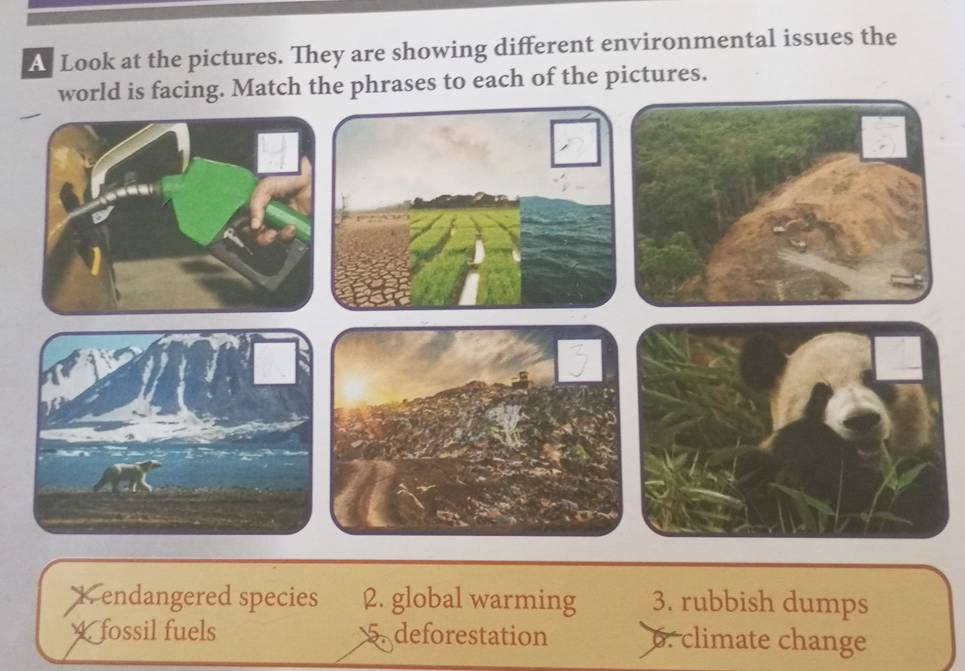 A Look at the pictures. They are showing different environmental issues the 
world is facing. Match the phrases to each of the pictures. 
1. endangered species 2. global warming 3. rubbish dumps 
fossil fuels 5. deforestation 6. climate change