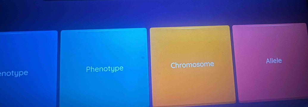 Allele
Phenotype Chromosome
notype