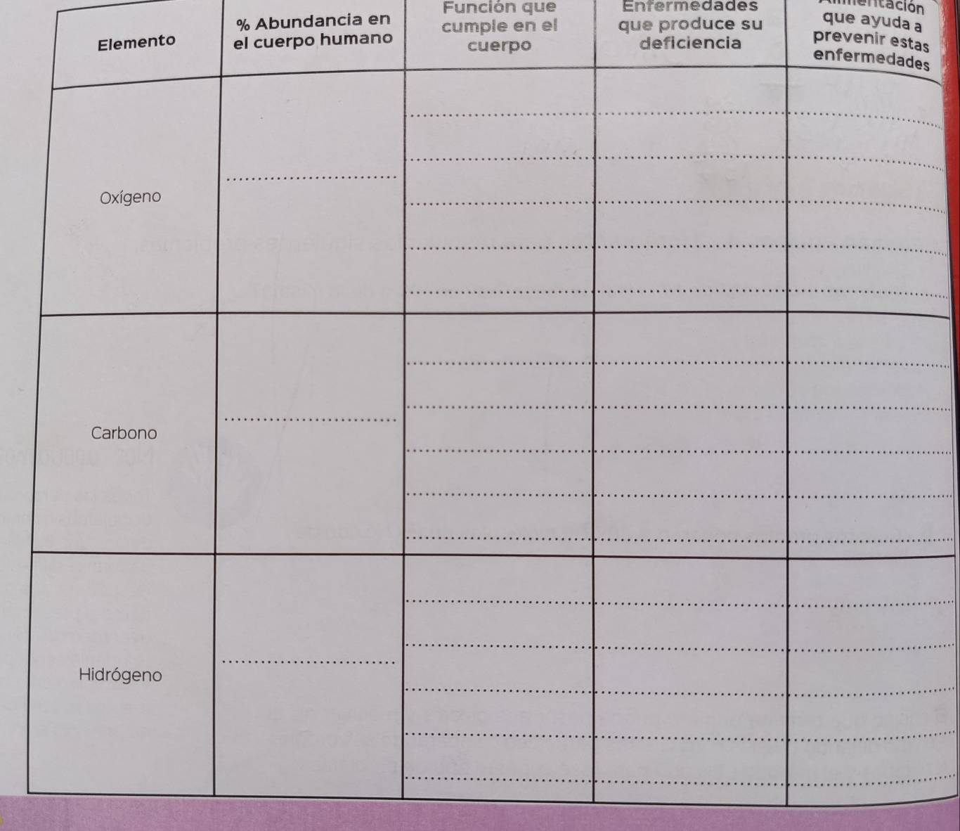 Abundancia en Función que Enfermedades 
entación 
ento rpo humano cumple en el que produce su 
que ayuda a 
prevenir eas 
es