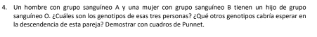 Un hombre con grupo sanguíneo A y una mujer con grupo sanguíneo B tienen un hijo de grupo 
sanguíneo O. ¿Cuáles son los genotipos de esas tres personas? ¿Qué otros genotipos cabría esperar en 
la descendencia de esta pareja? Demostrar con cuadros de Punnet.