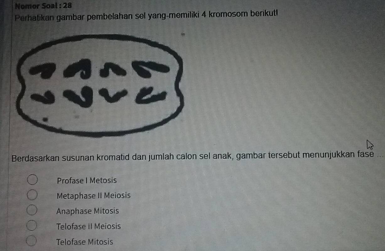 Nomor Soal : 28
Perhatikan gambar pembelahan sel yang-memiliki 4 kromosom berikut!
Berdasarkan susunan kromatid dan jumlah calon sel anak, gambar tersebut menunjukkan fase
Profase I Metosis
Metaphase II Meiosis
Anaphase Mitosis
Telofase II Meiosis
Telofase Mitosis