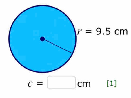 r=9.5cm
c=□ cm [1]