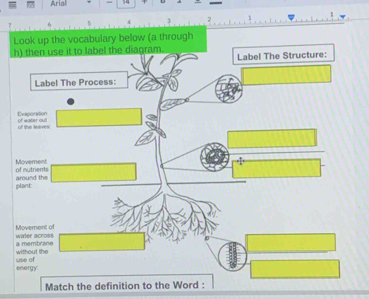 Arial 14 + 
7 
Match the definition to the Word :