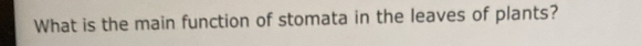 What is the main function of stomata in the leaves of plants?