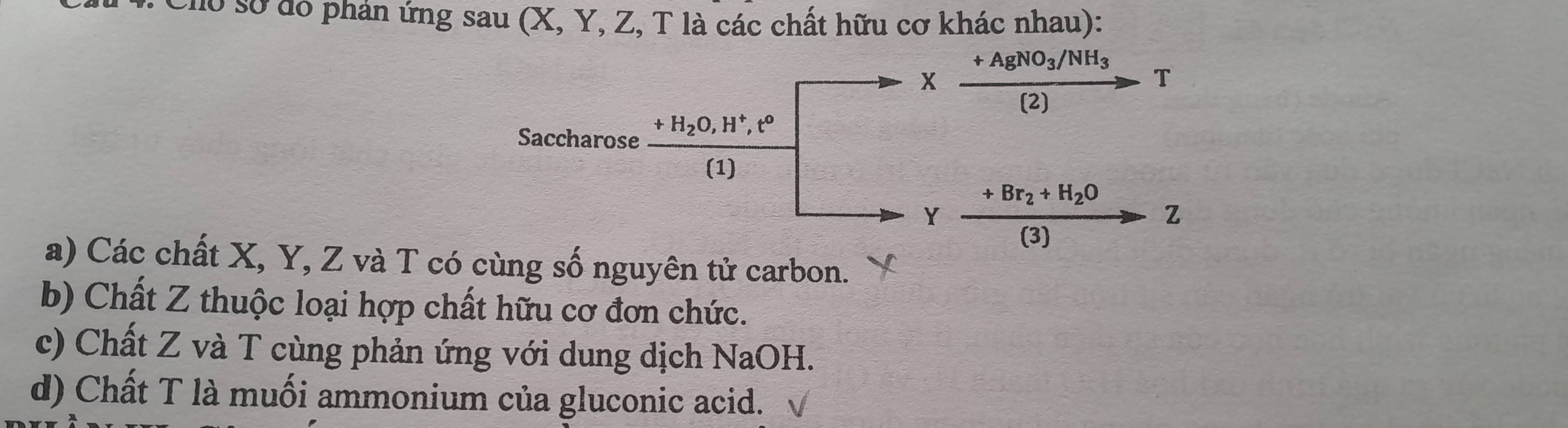 Cho sở đó phản ứng sau (X, Y, Z, T là các chất hữu cơ khác nhau):
+AgNO_3/NH_3
X
T
(2)
Saccharose +H_2O, H^+, t^0
(1)
+Br_2+H_2O
Y
Z
(3)
a) Các chất X, Y, Z và T có cùng số nguyên tử carbon.
b) Chất Z thuộc loại hợp chất hữu cơ đơn chức.
c) Chất Z và T cùng phản ứng với dung dịch NaOH.
d) Chất T là muối ammonium của gluconic acid.