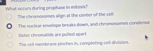 What occurs during prophase in mitosis?
The chromosomes align at the center of the cell
The nuclear envelope breaks down, and chromosomes condense
Sister chromatids are pulled apart
The cell membrane pinches in, completing cell division.