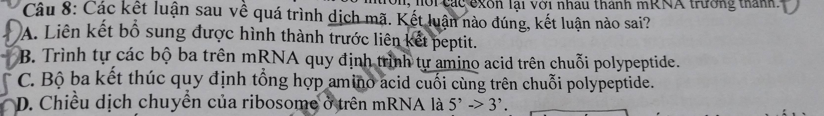 on, nội các exôn lại với nhau thanh mRNA trường thanh.
Câu 8: Các kết luận sau về quá trình dịch mã. Kết luận nào đúng, kết luận nào sai?
A. Liên kết bổ sung được hình thành trước liên kết peptit.
B. Trình tự các bộ ba trên mRNA quy định trình tự amino acid trên chuỗi polypeptide.
C. Bộ ba kết thúc quy định tổng hợp amino acid cuối cùng trên chuỗi polypeptide.
D. Chiều dịch chuyển của ribosome ở trên mRNA là 5^,->3^,.