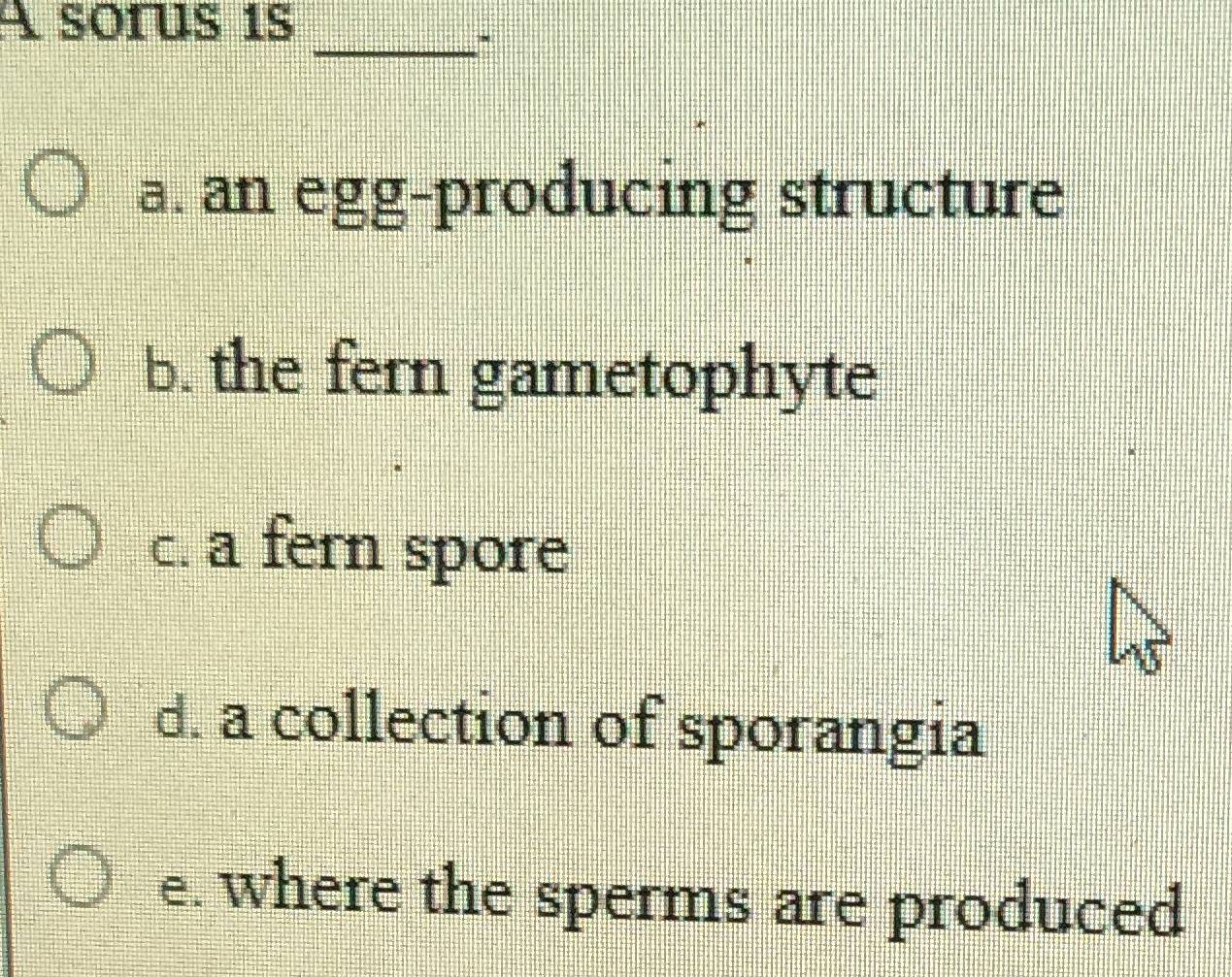 A sorus 1s
_
a. an egg-producing structure
b. the fern gametophyte
c. a fern spore
d. a collection of sporangia
e. where the sperms are produced