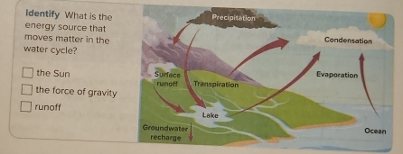 Identify What is the Precipitation
energy source that
moves matter in the Condensation
water cycle?
the Sun Surface Evaporation
the force of gravity runoff Transpiration
runoff Lake
Groundwater Ocean
recharge