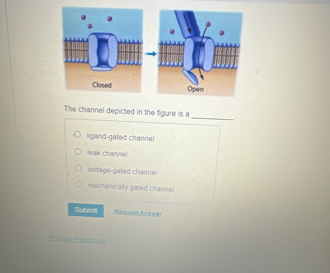 The channel depicted in the figure is a
_
ligand-gated channel
leak channel
voltage-gated channel
mechanically gated channel
Submit Request Answer
Provide Feedback